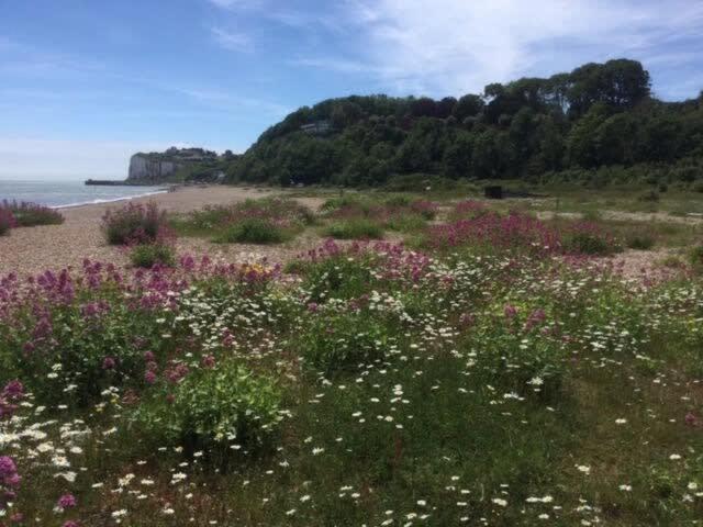 Mariner'S Cottage - On Kingsdown Beach Deal Eksteriør bilde